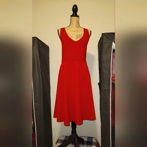 torrid Skater Style Dress